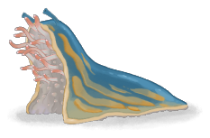 Corpse Slug