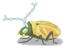 Shrinker Beetle