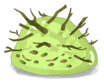 Twig Slime (M)